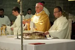 Uroczystości ku czci Najświętszej Maryi Panny Nieustającej Pomocy – Patronki diecezji