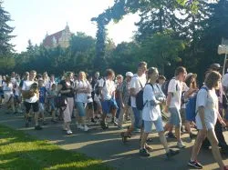 Rozpoczęła się 37. Piesza Pielgrzymka na Jasną Górę