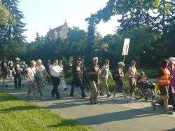 Rozpoczęła się 37. Piesza Pielgrzymka na Jasną Górę