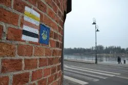 Żołta muszla na murach Starego Miasta