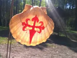 Muszla pielgrzyma