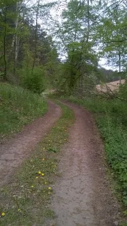 Szlakiem św. Jakuba (IV)