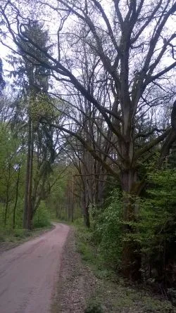 Bachotek - Brodnicki Park Krajobrazowy