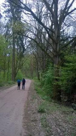 Szlakiem św. Jakuba (V)
