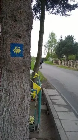 Droga przez Brodnicę