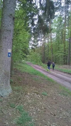Szlakiem św. Jakuba (V)