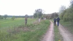 Szlakiem św. Jakuba (V)