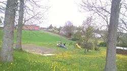 Radziki Duże