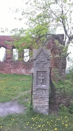 Ruiny zamku w Radzikach Dużych