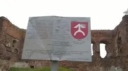 Ruiny zamku w Radzikach Dużych