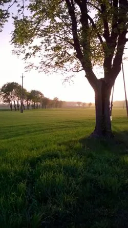 Szlakiem św. Jakuba (VI)