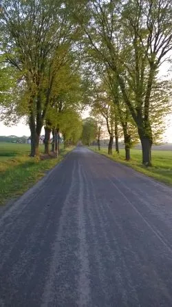 Szlakiem św. Jakuba (VI)