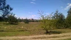 Szlakiem św. Jakuba (VII)