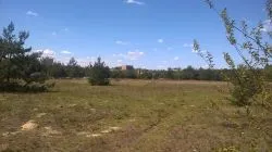 Szlakiem św. Jakuba (VII)