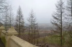 Szlakiem św. Jakuba (VIII)