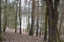 Szlakiem św. Jakuba (VIII)