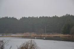 Jezioro Józefowskie