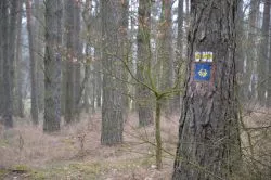 Szlakiem św. Jakuba (VIII)