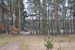Szlakiem św. Jakuba (VIII)