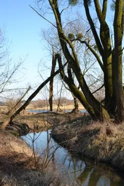 Szlakiem św. Jakuba (VIII)
