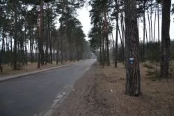Szlakiem św. Jakuba (IX)