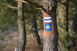 Szlakiem św. Jakuba (X)
