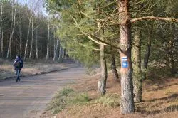 Szlakiem św. Jakuba (X)