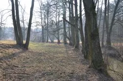 Szlakiem św. Jakuba (X)