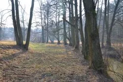 Szlakiem św. Jakuba (X)