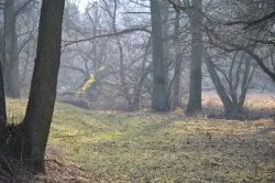 Szlakiem św. Jakuba (X)