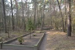 Szlakiem św. Jakuba (X)