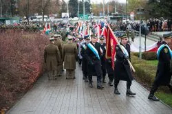 Narodowe Święto Niepodległości - Toruń