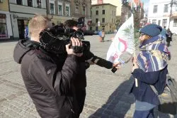 Toruńska Strefa Miłosierdzia