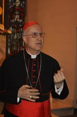 Kard. Tarcisio Bertone w Toruniu