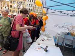 ŚDM w Toruniu