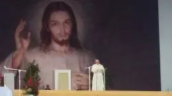 Młodzież diecezji na ŚDM w Krakowie