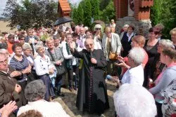Pielgrzymka Żywego Różańca - Lisewo 2016