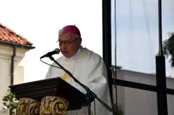 Pielgrzymka Rodzin i Małżeństw do Matki Bożej Podgórskiej