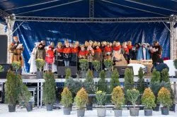Orszak Trzech Króli w Grudziądzu