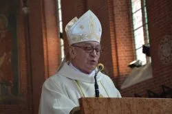 Msza św. z okazji jubileuszu Diecezji Toruńskiej - cz. 1