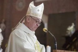 Msza św. z okazji jubileuszu Diecezji Toruńskiej - cz. 3