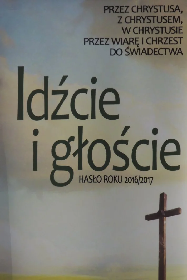 Toruńska Strefa Miłosierdzia