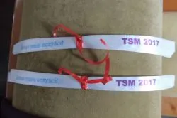 Toruńska Strefa Miłosierdzia