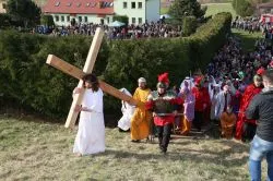 Misterium w Kurzętniku