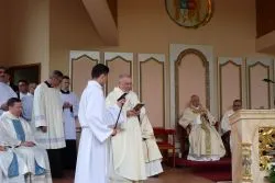 U Matki Bożej w Lipach
