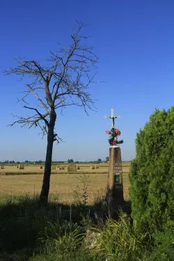 Grupa Zielona w drodze na Jasną Górę - cz. 2