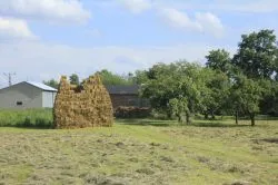 Grupa Zielona w drodze na Jasną Górę - cz. 2