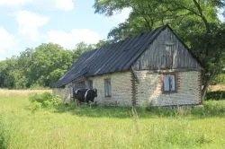 Grupa Zielona w drodze na Jasną Górę - cz. 2