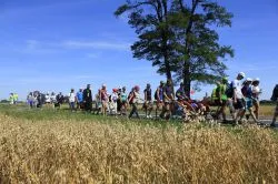 Grupa Zielona w drodze na Jasną Górę - cz. 2