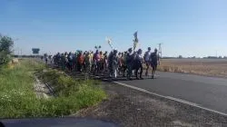 Akademicka grupa żółta w drodze na Jasną Górę